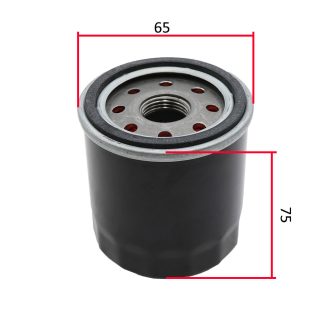 Filter ulja B&S 499532